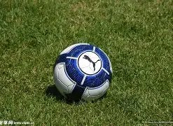 辰龙捕鱼游,下载,资讯,辰龙捕鱼游戏官网,辰龙捕鱼游戏APP下载,辰龙捕鱼官方网站,辰龙捕鱼游戏中心