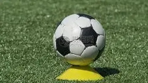 辰龙捕鱼游戏APP下载 资讯 090039 yak